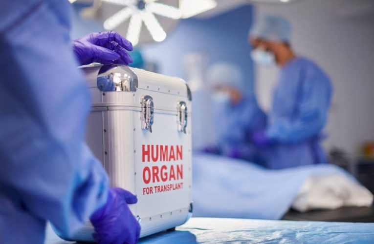 Azərbaycanda orqan köçürülməsi üçün 910 nəfər növbə gözləyir
