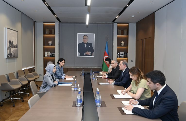 UNICEF-in nümayəndəsinin Azərbaycandakı missiyası başa çatdı