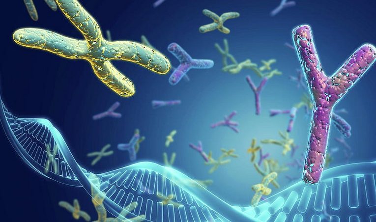 Yaponiyada Daun sindromunun qarşısını almaq üsulları öyrənilir