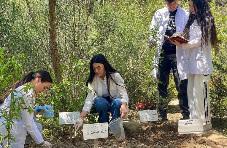 COP29-a görə bəzi ixtisasların keçid balı arta bilər 