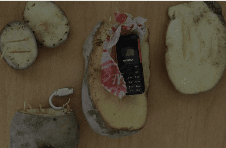 Həbsxanaya kartofun içərisində telefon keçirmək istədi