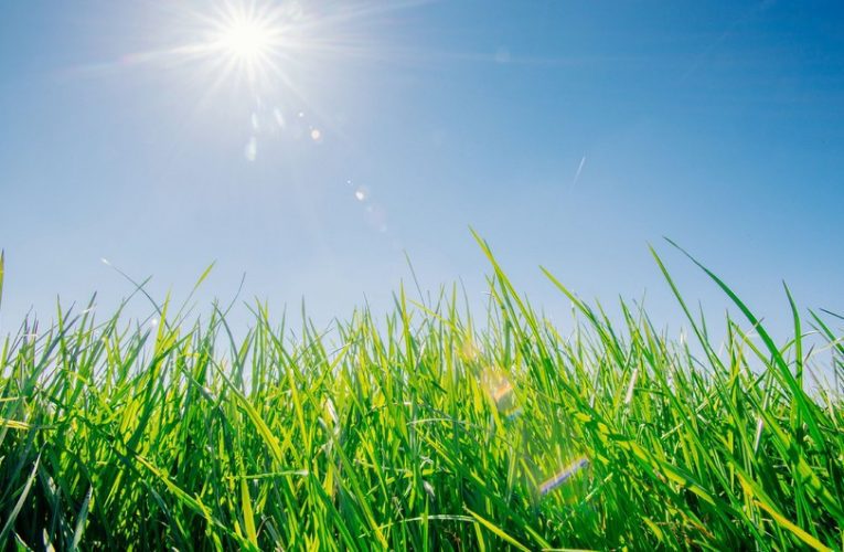 Sabah hava necə olacaq?