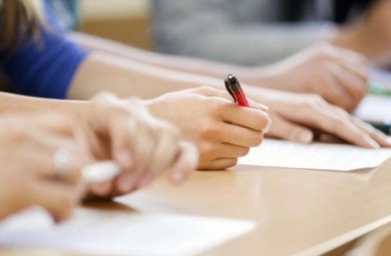 IV qrupda nə qədər plan yeri ayrılıb?