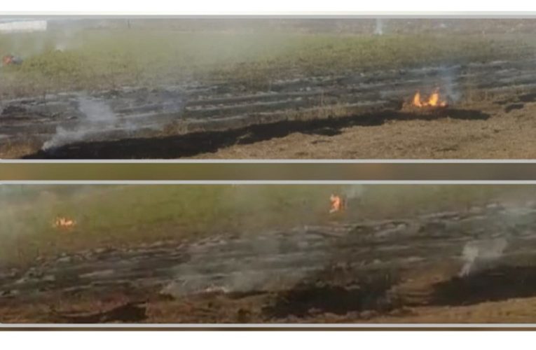 Yanğına görə 2 nəfər tutuldu