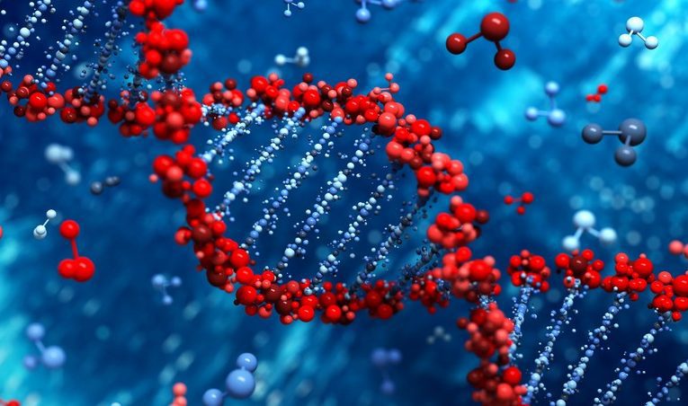 Bioloji yaşın müəyyənləşdirilməsi üçün daha dəqiq üsul yaradılıb