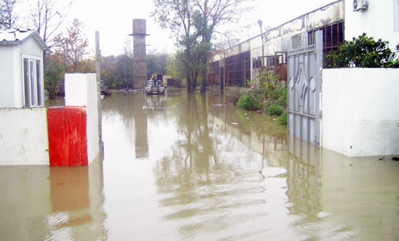 Lənkəranda həyətləri sel basdı – FOTOLAR