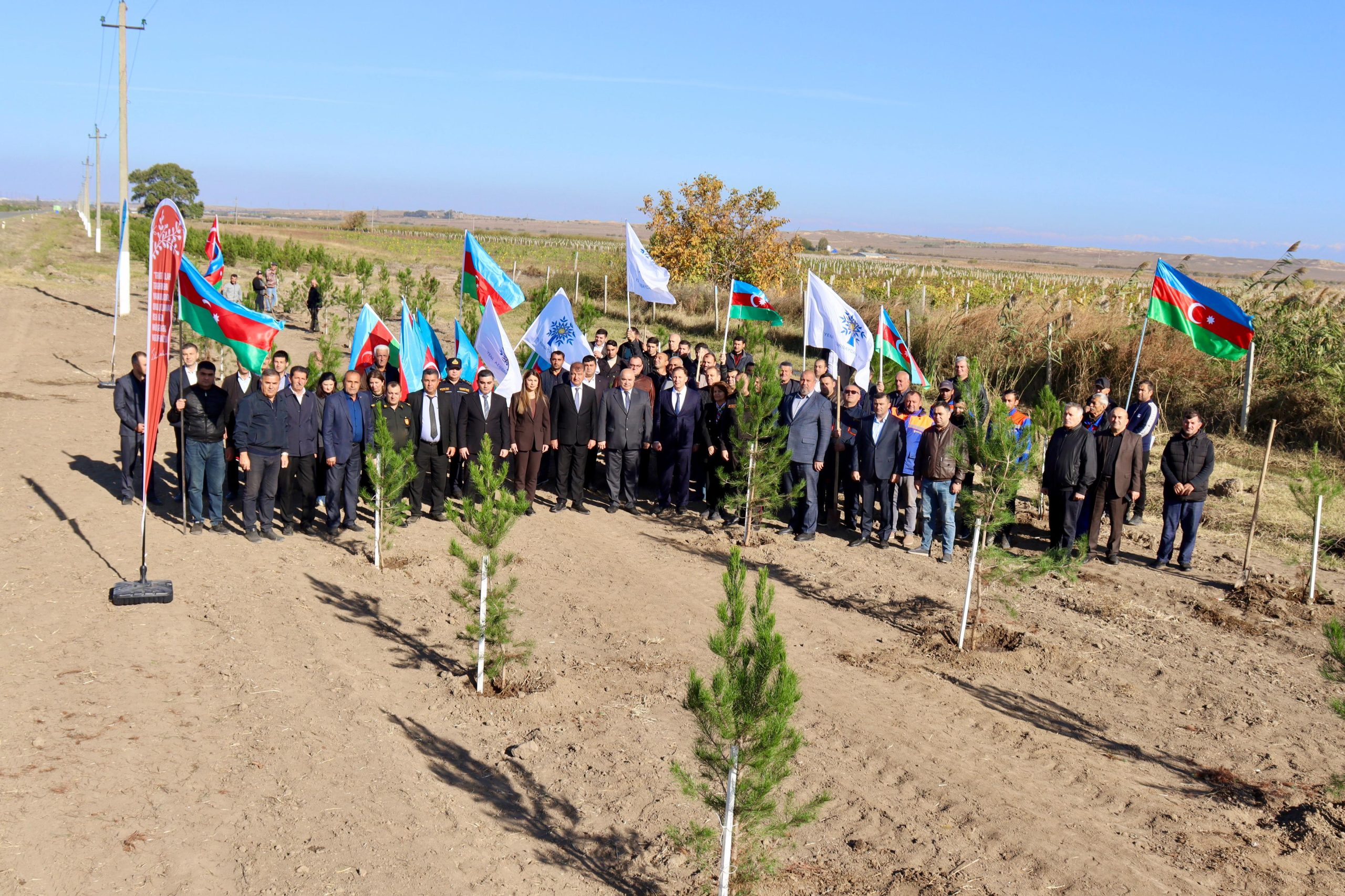 Samuxda “Zəfər Günü”nə həsr olunmuş ağacəkmə aksiyası – FOTOLAR