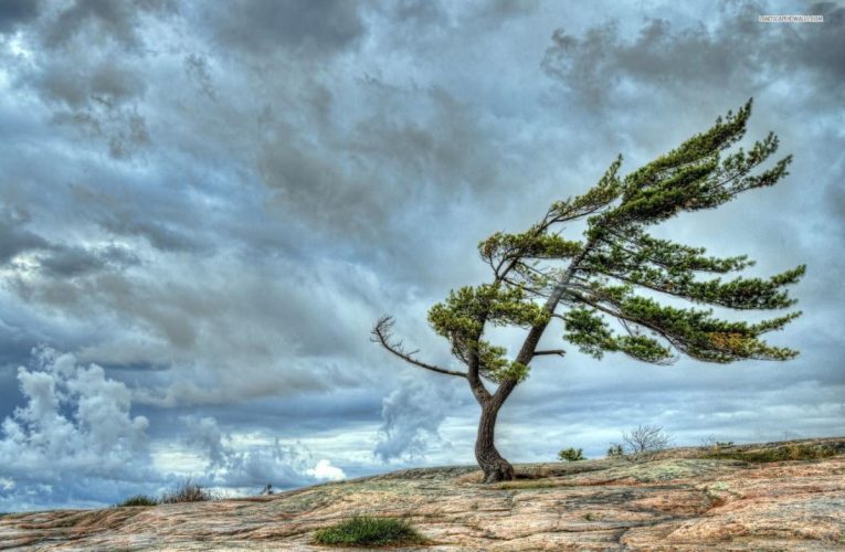 Külək güclənəcək – XƏBƏRDARLIQ