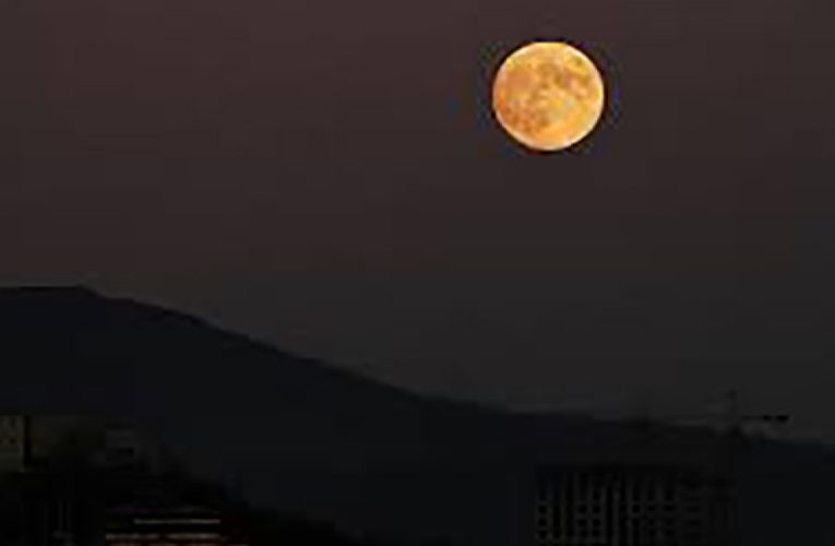 Ayda şəhər salınacaq – İlon Mask tarix göstərdi