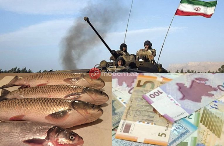 Bakının balıq bazarında qiymət kəllə-çarxa qalxdı – SƏBƏB 