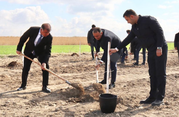 Aktual
                                                
                                                    Bu gün, 10:40                                                
                                            
                                            
                                                
Samuxda ağacəkmə aksiyası keçirilib – FOTOLAR