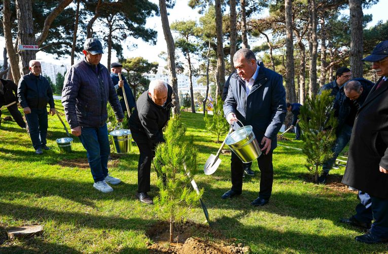 Xətaidə icra başçısı ilə deputat ağac əkdilər – FOTOLAR