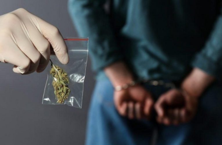 Narkotiklə bağlı 1765 cinayət faktı aşkarlandı