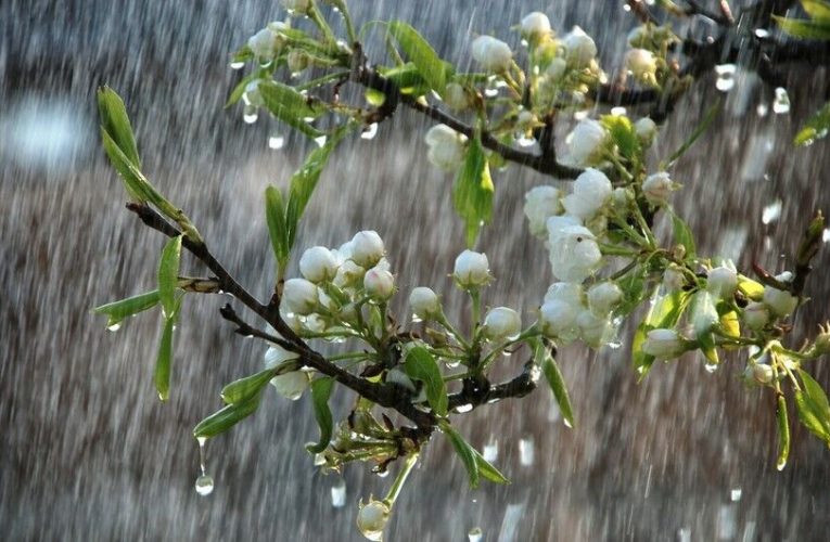 Bu gün yağış yağacaq