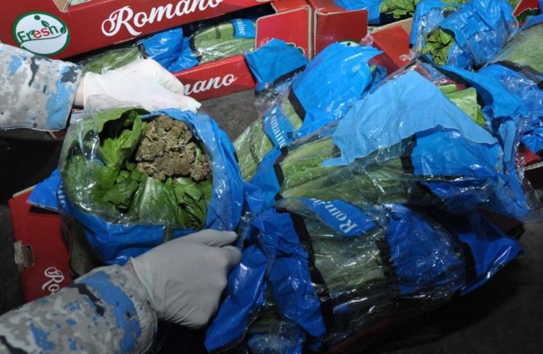 “Kahı” yükünün içərisində 56 kqmarixuana aşkarlandı