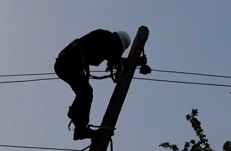 Aktual
                                                
                                                    Bu gün, 10:18                                                
                                            
                                            
                                                
Lerikin kəndlərində elektrik şəbəkəsi yenilənir – VİDEO