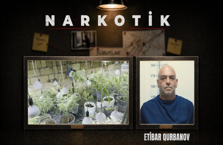 Novxanıda narkobunker aşkarlandı – VİDEO