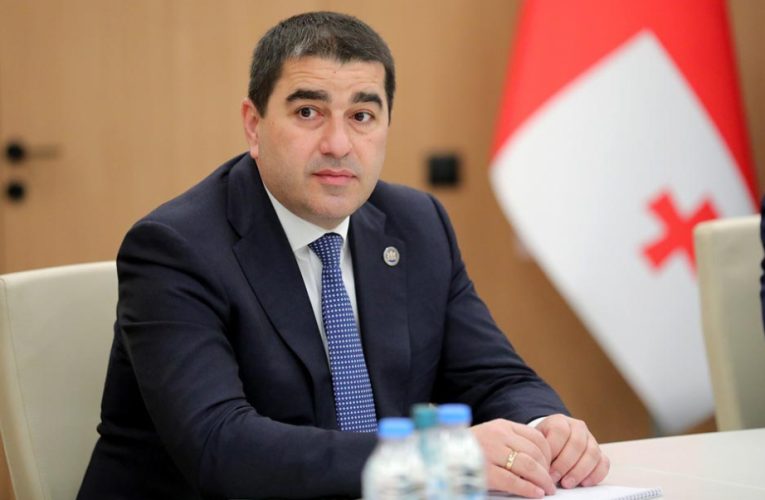 Fransa Gürcüstanın daxili işlərinə qarışır – spiker