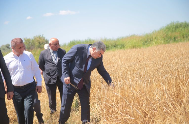 Aktual
                                                
                                                    Bu gün, 16:55                                                
                                            
                                            
                                                
Salyanda icra başçısı taxıl biçini sahələrinə baxış keçirdi – FOTO