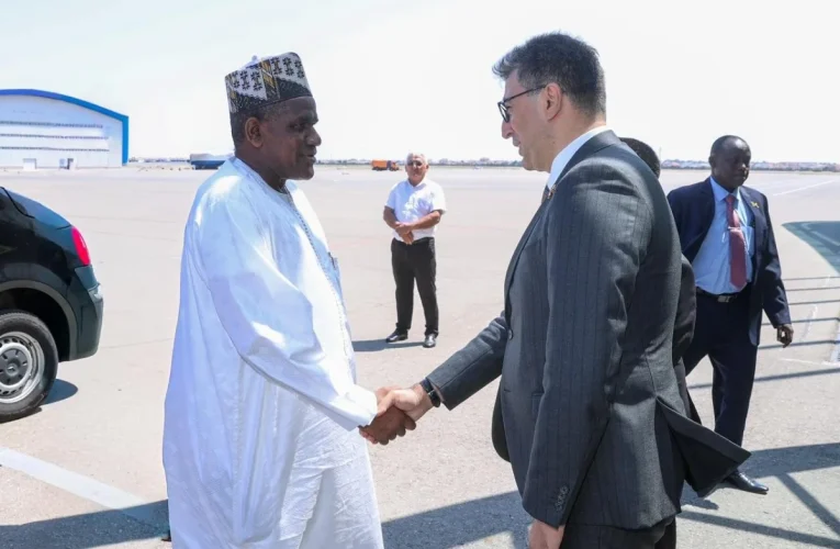 Niger Məsləhət Şurasının sədri Azərbaycana gəldi