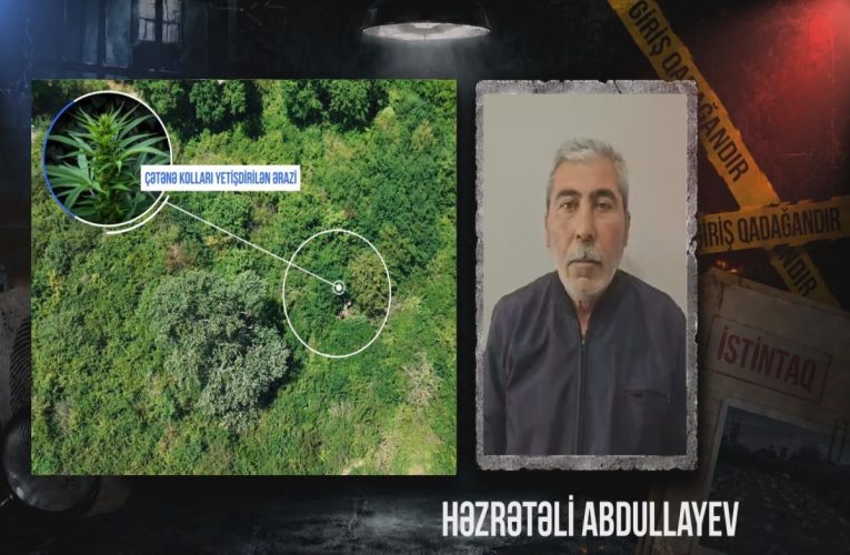 Çayın kənarında çətənə becərirdi: TUTULDU