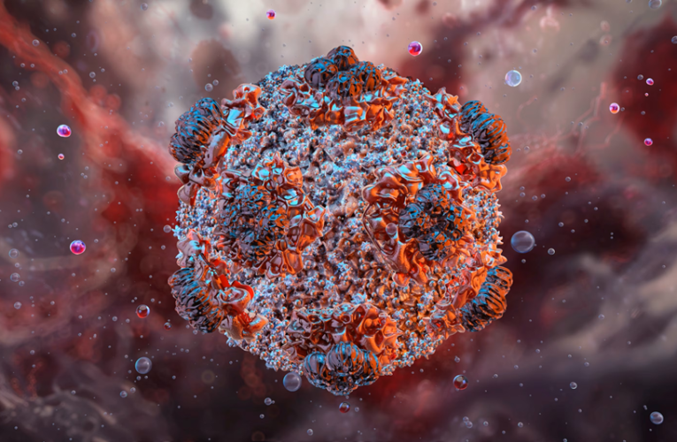 Bu virus tarixə qovuşdu – sonuncu xəstə sağaldı